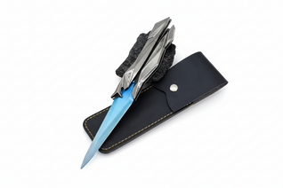 Singularity Butterfly Inspired